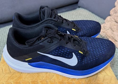 Nike air winflo - nike, 10